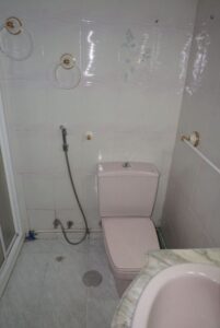 Baño con inodoro y ducha